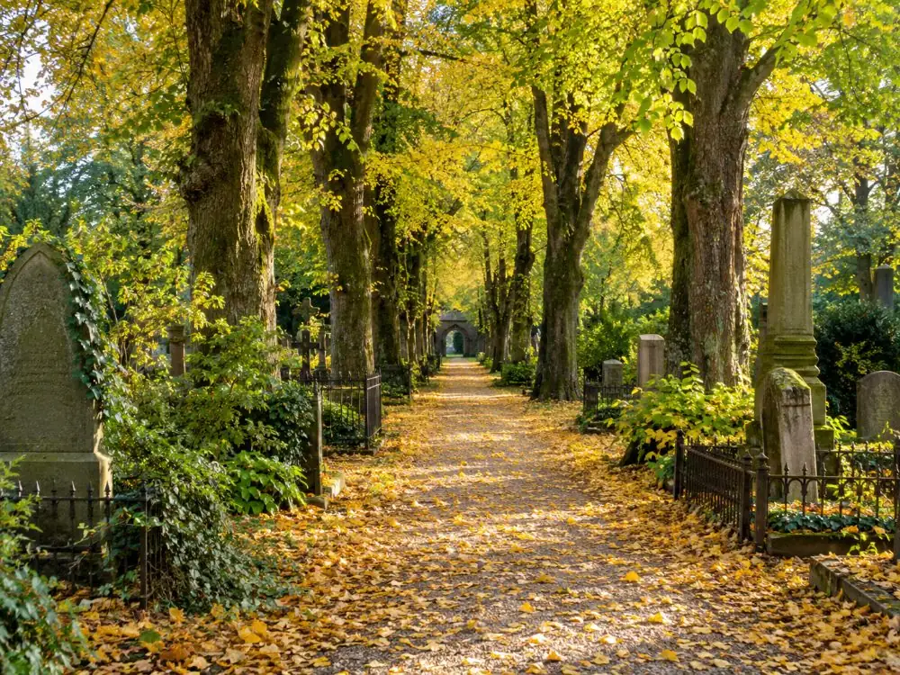 Grabsteine unter alten Bäumen auf dem Assistens Friedhof in Nørrebro